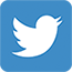 twitter-icon